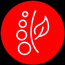 icon with a red background featuring two leaves and circular elements representing growth and nature